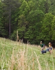 Filename=Stranger_Things_S03E01_mp45341.jpg
Filesize=1619KiB
Dimensions=1920x960
Date added=Jun 25, 2022 Stranger_Things_S03E01_mp45341.jpg