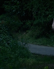 Filename=Stranger_Things_S03E03_mp40786.jpg
Filesize=1009KiB
Dimensions=1920x960
Date added=Jun 25, 2022 Stranger_Things_S03E03_mp40786.jpg