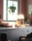 Filename=Stranger_Things_S04E01_mp41768.jpg
Filesize=911KiB
Dimensions=1920x960
Date added=Jun 26, 2022 Stranger_Things_S04E01_mp41768.jpg