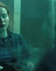 Filename=Stranger_Things_S04E01_mp41972.jpg
Filesize=833KiB
Dimensions=1920x960
Date added=Jun 26, 2022 Stranger_Things_S04E01_mp41972.jpg