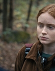 Filename=Stranger_Things_S04E06_mp41742.jpg
Filesize=871KiB
Dimensions=1920x960
Date added=Jun 26, 2022 Stranger_Things_S04E06_mp41742.jpg