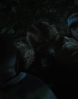 Filename=Stranger_Things_S04E06_mp44017.jpg
Filesize=618KiB
Dimensions=1920x960
Date added=Jun 26, 2022 Stranger_Things_S04E06_mp44017.jpg