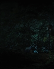 Filename=Stranger_Things_S04E06_mp44028.jpg
Filesize=548KiB
Dimensions=1920x960
Date added=Jun 26, 2022 Stranger_Things_S04E06_mp44028.jpg