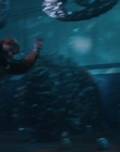 Filename=Stranger_Things_S04E09_mp44800.jpg
Filesize=779KiB
Dimensions=1920x960
Date added=Jul 04, 2022 Stranger_Things_S04E09_mp44800.jpg