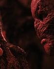 Filename=Stranger_Things_S04E09_mp45399.jpg
Filesize=921KiB
Dimensions=1920x960
Date added=Jul 04, 2022 Stranger_Things_S04E09_mp45399.jpg