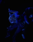 Filename=Stranger_Things_S04E09_mp46336.jpg
Filesize=219KiB
Dimensions=1920x960
Date added=Jul 04, 2022 Stranger_Things_S04E09_mp46336.jpg