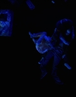 Filename=Stranger_Things_S04E09_mp46339.jpg
Filesize=201KiB
Dimensions=1920x960
Date added=Jul 04, 2022 Stranger_Things_S04E09_mp46339.jpg