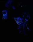 Filename=Stranger_Things_S04E09_mp46341.jpg
Filesize=179KiB
Dimensions=1920x960
Date added=Jul 04, 2022 Stranger_Things_S04E09_mp46341.jpg