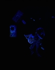 Filename=Stranger_Things_S04E09_mp46344.jpg
Filesize=146KiB
Dimensions=1920x960
Date added=Jul 04, 2022 Stranger_Things_S04E09_mp46344.jpg