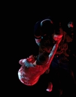 Filename=Stranger_Things_S04E09_mp46537.jpg
Filesize=172KiB
Dimensions=1920x960
Date added=Jul 04, 2022 Stranger_Things_S04E09_mp46537.jpg
