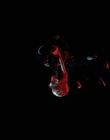 Filename=Stranger_Things_S04E09_mp46565.jpg
Filesize=80KiB
Dimensions=1920x960
Date added=Jul 04, 2022 Stranger_Things_S04E09_mp46565.jpg