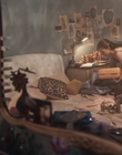 Filename=Dear_Zoe_mp41917.jpg
Filesize=839KiB
Dimensions=1916x954
Date added=Nov 22, 2022 Dear_Zoe_mp41917.jpg