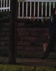 Filename=Dear_Zoe_mp42187.jpg
Filesize=930KiB
Dimensions=1916x954
Date added=Nov 22, 2022 Dear_Zoe_mp42187.jpg