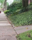 Filename=Dear_Zoe_mp412807.jpg
Filesize=1142KiB
Dimensions=1916x954
Date added=Nov 22, 2022 Dear_Zoe_mp412807.jpg