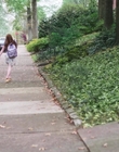 Filename=Dear_Zoe_mp412810.jpg
Filesize=1260KiB
Dimensions=1916x954
Date added=Nov 22, 2022 Dear_Zoe_mp412810.jpg
