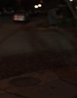 Filename=Dear_Zoe_mp413599.jpg
Filesize=681KiB
Dimensions=1916x954
Date added=Nov 22, 2022 Dear_Zoe_mp413599.jpg