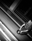 HQ_283529.jpg