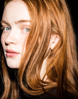 HQ_287529.jpg