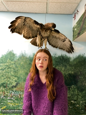 09.jpg