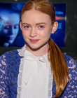 2017-08-09_283629.jpg