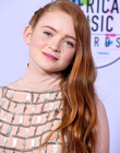 2017-11-19_286529.jpg