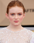 Filename=2018-01-21_282429.jpg
Filesize=364KiB
Dimensions=1460x2048
Date added=Jul 03, 2022 2018-01-21_282429.jpg