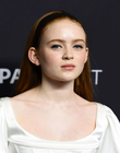 Filename=2018-03-25_282029.jpg
Filesize=193KiB
Dimensions=2048x1367
Date added=Jul 03, 2022 2018-03-25_282029.jpg