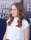 Filename=2018-09-14_28829.jpg
Filesize=370KiB
Dimensions=2048x1365
Date added=Jul 03, 2022 2018-09-14_28829.jpg