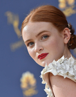 Filename=2018-09-17_281829.jpg
Filesize=264KiB
Dimensions=2048x1363
Date added=Jul 03, 2022 2018-09-17_281829.jpg