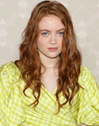 2019-09-07_284829.jpg