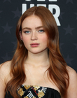 Filename=2023-01-15NEW_28329.jpg
Filesize=890KiB
Dimensions=2400x2911
Date added=Jan 16, 2023 2023-01-15NEW_28329.jpg