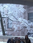 Blue_Bloods_S04E16_mkv1459.jpg