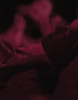 American_Odyssey_S01E07_mp42290.jpg