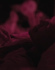 American_Odyssey_S01E07_mp42293.jpg