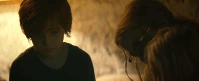 The_Glass_Castle_mp43802.jpg