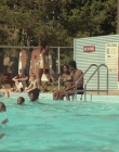 Filename=The_Glass_Castle_mp41343.jpg
Filesize=1000KiB
Dimensions=1920x784
Date added=Jul 28, 2025 The_Glass_Castle_mp41343.jpg