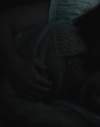 Filename=The_Glass_Castle_mp43105.jpg
Filesize=361KiB
Dimensions=1920x784
Date added=Jul 28, 2025 The_Glass_Castle_mp43105.jpg