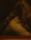 Filename=The_Glass_Castle_mp43995.jpg
Filesize=459KiB
Dimensions=1920x784
Date added=Jul 28, 2025 The_Glass_Castle_mp43995.jpg
