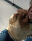 Filename=Stranger_Things_S02E03_mp48190.jpg
Filesize=848KiB
Dimensions=1920x960
Date added=Jul 29, 2025 Stranger_Things_S02E03_mp48190.jpg