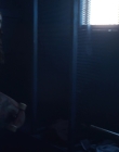 Filename=Stranger_Things_S02E03_mp48473.jpg
Filesize=713KiB
Dimensions=1920x960
Date added=Jul 29, 2025 Stranger_Things_S02E03_mp48473.jpg