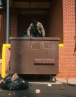 Filename=Stranger_Things_S02E04_mp44024.jpg
Filesize=1327KiB
Dimensions=1920x960
Date added=Jul 29, 2025 Stranger_Things_S02E04_mp44024.jpg