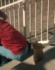 Filename=Stranger_Things_S02E04_mp44623.jpg
Filesize=979KiB
Dimensions=1920x960
Date added=Jul 29, 2025 Stranger_Things_S02E04_mp44623.jpg