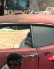 Filename=Stranger_Things_S02E06_mp47793.jpg
Filesize=1065KiB
Dimensions=1920x960
Date added=Jul 29, 2025 Stranger_Things_S02E06_mp47793.jpg
