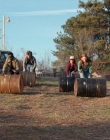 Filename=Stranger_Things_S02E06_mp47984.jpg
Filesize=1471KiB
Dimensions=1920x960
Date added=Jul 29, 2025 Stranger_Things_S02E06_mp47984.jpg