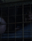 Filename=Stranger_Things_S02E06_mp48405.jpg
Filesize=715KiB
Dimensions=1920x960
Date added=Jul 29, 2025 Stranger_Things_S02E06_mp48405.jpg
