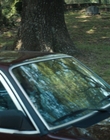 Filename=Stranger_Things_S04E04_mp46547.jpg
Filesize=1097KiB
Dimensions=1920x960
Date added=Jun 26, 2022 Stranger_Things_S04E04_mp46547.jpg