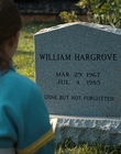 Filename=Stranger_Things_S04E04_mp47097.jpg
Filesize=1161KiB
Dimensions=1920x960
Date added=Jun 26, 2022 Stranger_Things_S04E04_mp47097.jpg