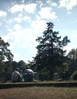Filename=Stranger_Things_S04E04_mp47505.jpg
Filesize=1150KiB
Dimensions=1920x960
Date added=Jun 26, 2022 Stranger_Things_S04E04_mp47505.jpg