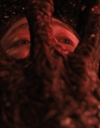 Filename=Stranger_Things_S04E04_mp47927.jpg
Filesize=745KiB
Dimensions=1920x960
Date added=Jun 26, 2022 Stranger_Things_S04E04_mp47927.jpg