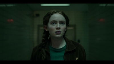 Stranger_Things_S05E04_mkv1432.jpg